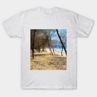 Pine tree forest at Pacitan beach with mountain in backround T-Shirt